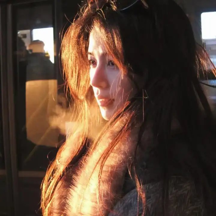 森林泰山2